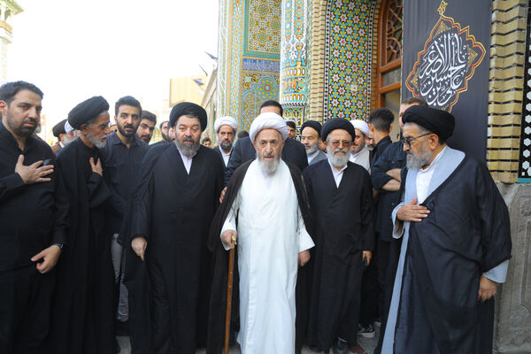تشییع همسر آیت الله شبیری زنجانی در قم