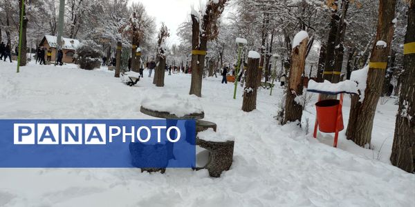 سکوت برفی بروجن، قلب شهر را به تپش انداخت