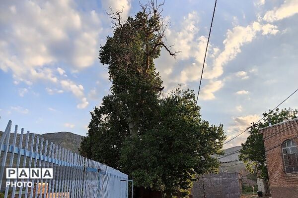 آلبوم تصویری از طبیعت زیبای شهر بار در اردیبهشت‌ماه  ۱۴۰۵ـ۲