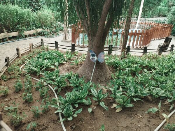 اردوی علمی تفریحی خبرنگاران پانای استان اصفهان