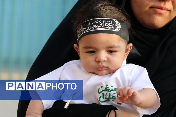 همایش شیرخوارگان حسینی در راور