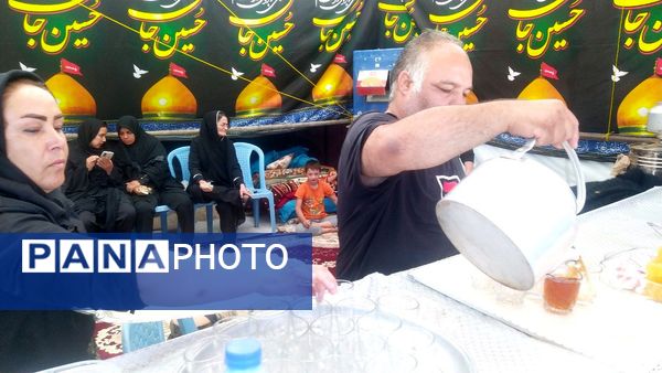 حرکت عاشقان به سوی مشهد الرضا(ع)