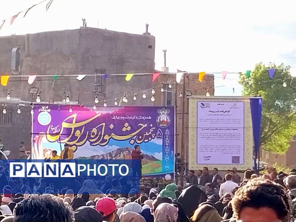 جشنواره ریواس در کوهسرخ