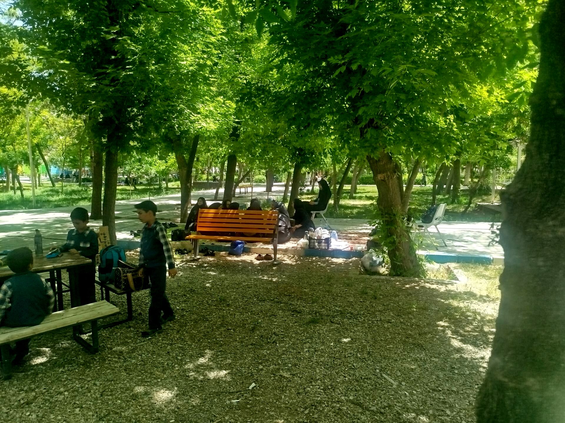 اردوی دانش‌آموزان مدرسه پسرانه مبین در پارک جنگلی شیروان