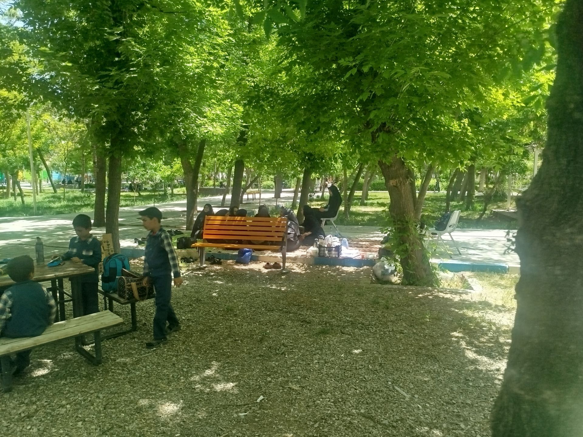 اردوی دانش‌آموزان مدرسه پسرانه مبین در پارک جنگلی شیروان