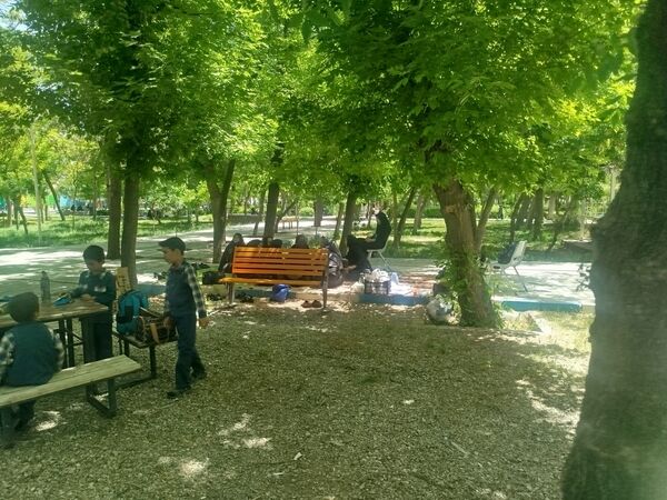 اردوی دانش‌آموزان مدرسه پسرانه مبین در پارک جنگلی شیروان