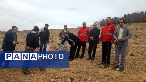 پویش درختکاری «جان ایران» در سلسله