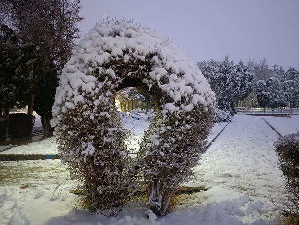 سفید مثل برف