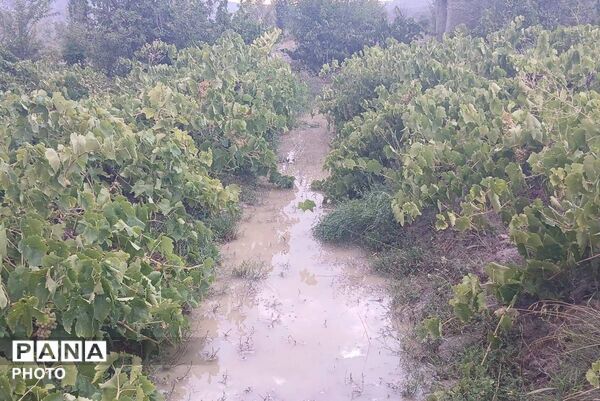 باران شدید در روستای مرزی قَتلیش