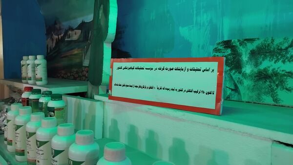 بازدید خبرنگاران فعال پانا از موسسه تحقیقات گیاه‌پزشکی ایران 