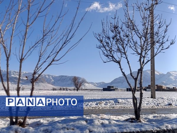 برف زمستانی مهمان شهرستان کیار شد