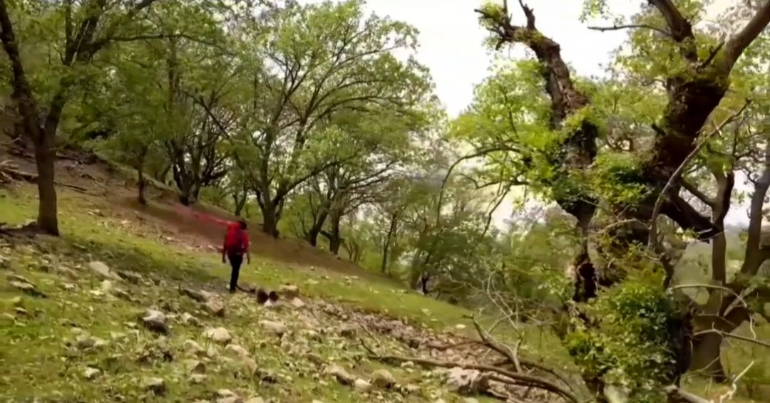 تاریخچه سیزده‌بدر و روز طبیعت