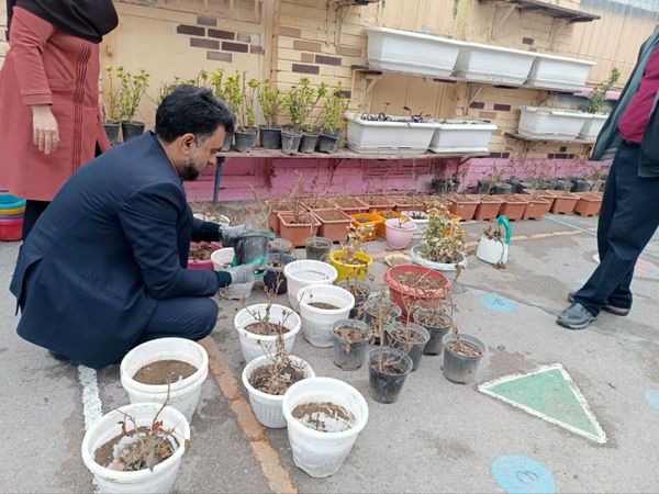 آغاز بهار جوانه سبز سلامتی