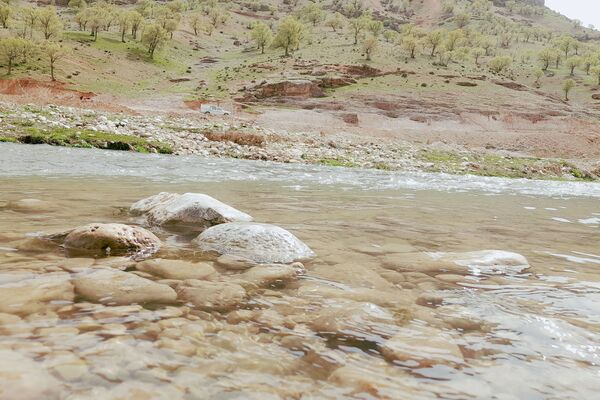 بهار، آغاز دوباره‌ی زندگی طبیعت 