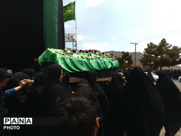 عزاداری مردم نیر در سوگ شهادت امام رضا (ع)