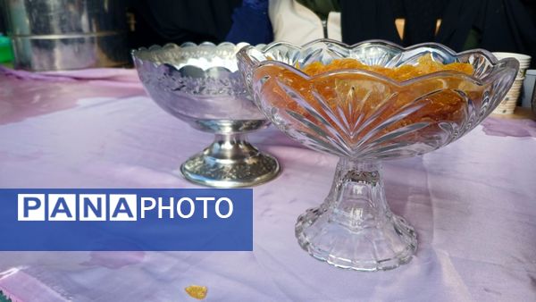 استقبال از خادمین حرم علی بن موسی الرضا در بن 