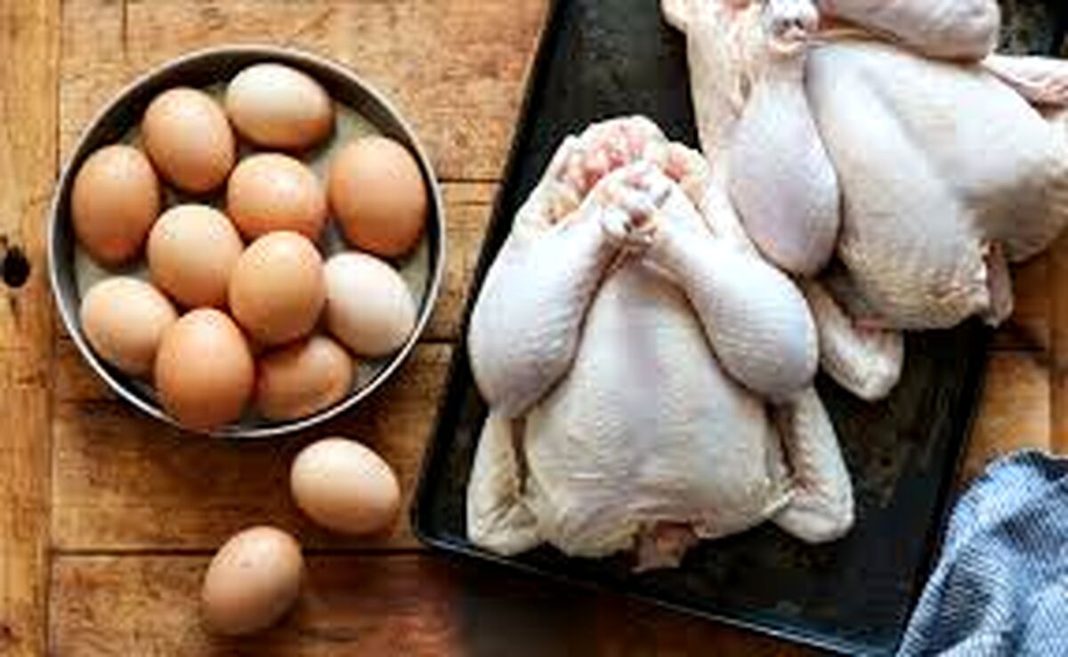 قند و گوشت مرغ مدیریت شده، صادر می‌شود