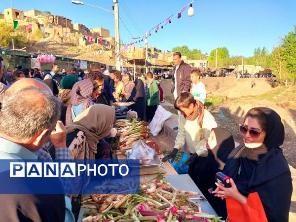 جشنواره ریواس در کوهسرخ