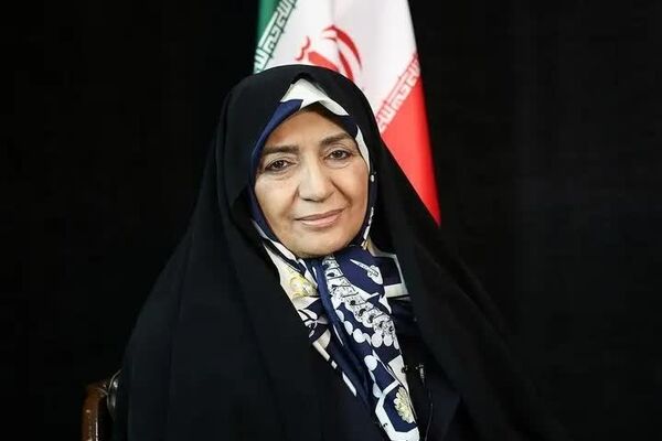 پروین داداندیش رئیس کارگروه خانواده، جمعیت و زنان شورای اجتماعی کشور شد