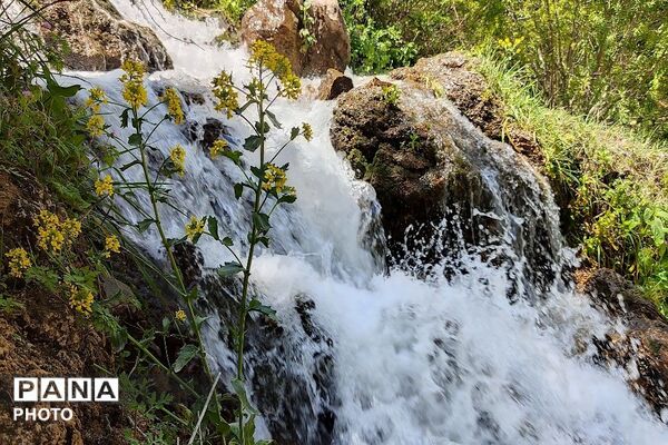 آبشار بار، نغمه‌ای از آب در دل طبیعت