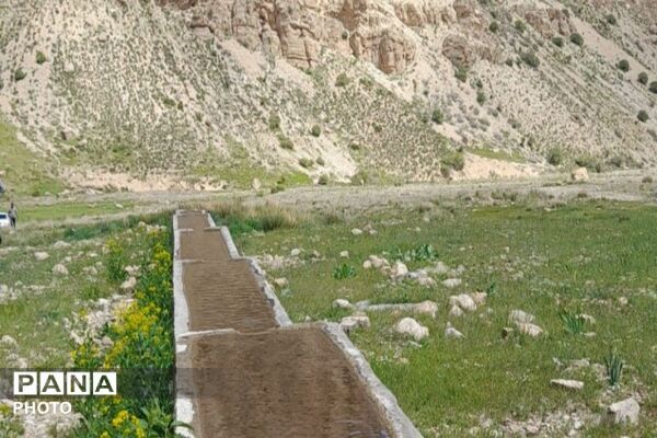 کوه های شهر بار ذخیره‌گاه گیاهان ارزشمند و کم نظیر دارویی 