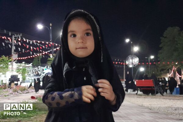 از کربلا تا ایران؛ عزاداران حسینی با پرچم ایران، پیام وحدت و استقامت را فریاد زدند