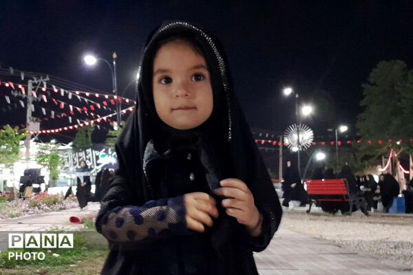 از کربلا تا ایران؛ عزاداران حسینی با پرچم ایران، پیام وحدت و استقامت را فریاد زدند
