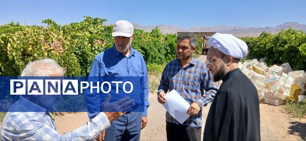 بازدید امام جمعه و رییس اداره کمیته امداد شهرستان خلیل‌آباد از کشاورزان 
