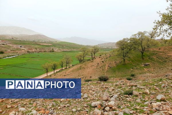 بهار، آغاز دوباره‌ی زندگی طبیعت 