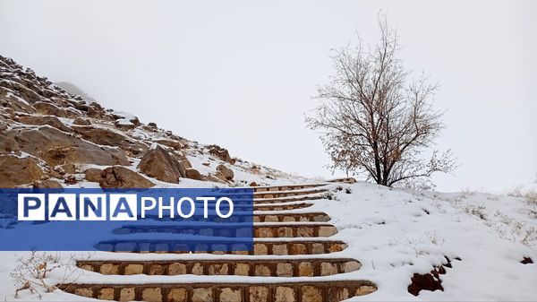 گرداب بن زیر چتر سپید برف