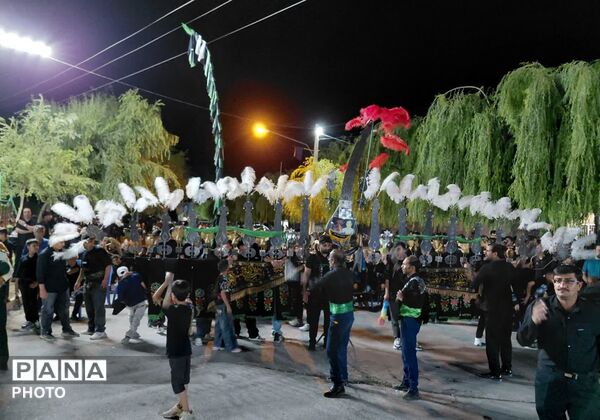 روایت تاسوعای حسینی از قاب دوربین خبرنگار پانا