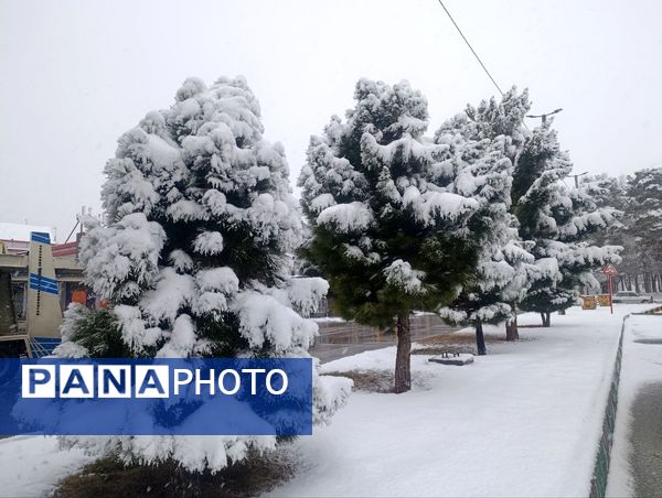 سفید مثل برف