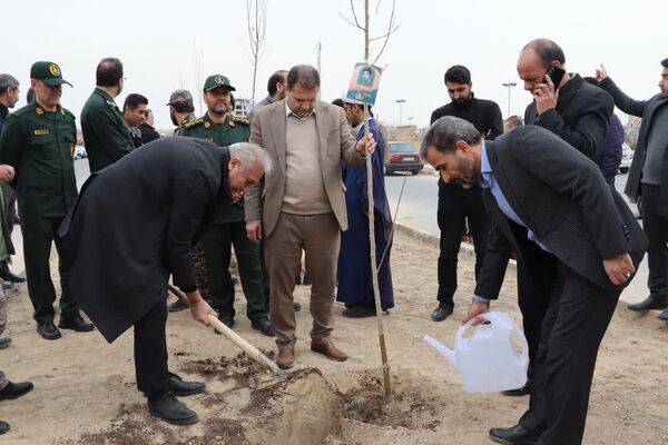 کاشت درخت به یاد شهدا در محمدشهر 