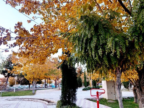 طبیعت زیبای کاشمر در پاییز