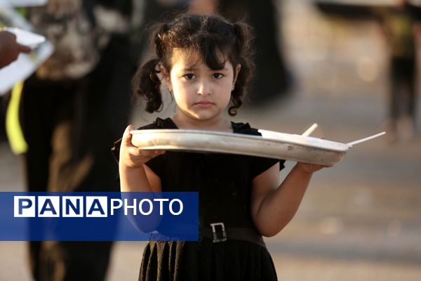 میلیون‌ها گام عاشقی؛ روایت حماسه اربعین حسینی از نجف تا کربلا