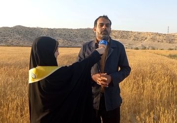 برداشت گیاهان گندم و جو در شهرستان جم
