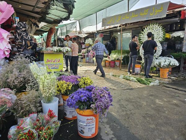 حال و هوای خاص در بازار گل محلاتی