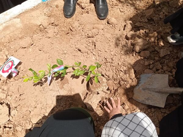 هر نهال، یک امید برای ایران