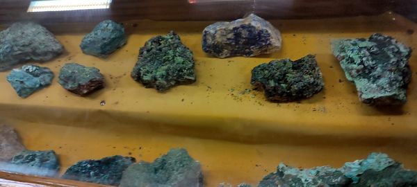 برگزاری اردوی علمی دانش‌آموزان مدرسه سعادت در دانشگاه هرمزگان