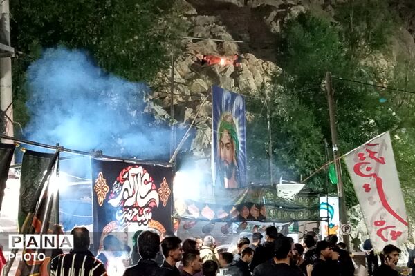 علم‌ها در دل آب