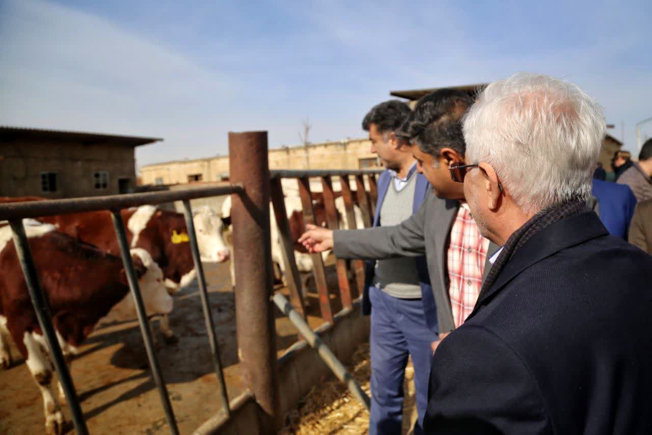 سفر یک روزه استاندار به شهرستان سملقان