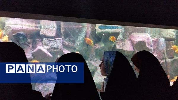 اردوی علمی تفریحی خبرنگاران پانای استان اصفهان