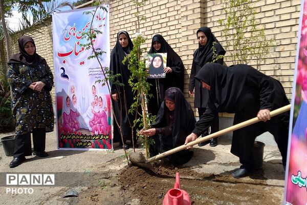 کاشت نهال به یاد یاسمن‌های میناب و شهیده دانش‌آموز نازنین زهرا سیفی 