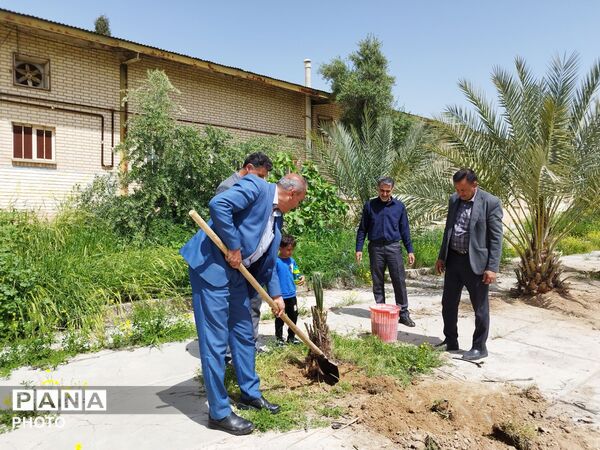 ۴ اصل نخل؛ نماد پاسداشت شهیدان و همدلی در منطقه شیب‌کوه 