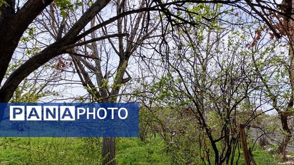 سیزده بدر باستانی در روستای زیارتی و سیاحتی سوقند 