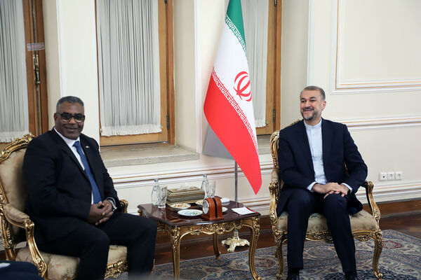 دیپلمات شهید