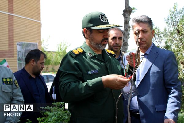 نهال کاری در فاروج به یاد دانش‌آموزان میناب 