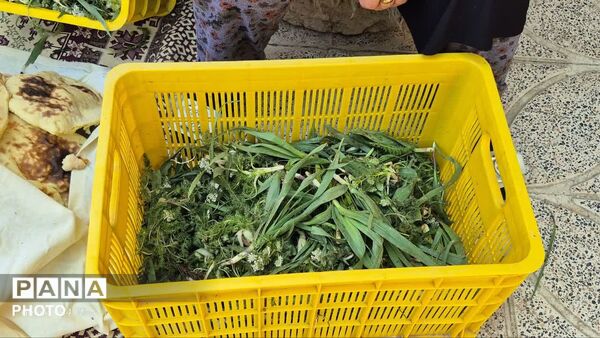  اولین جشنواره محصولات خانگی روستای سپیداران  ساوجبلاغ 