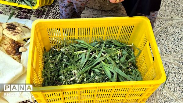  اولین جشنواره محصولات خانگی روستای سپیداران  ساوجبلاغ 
