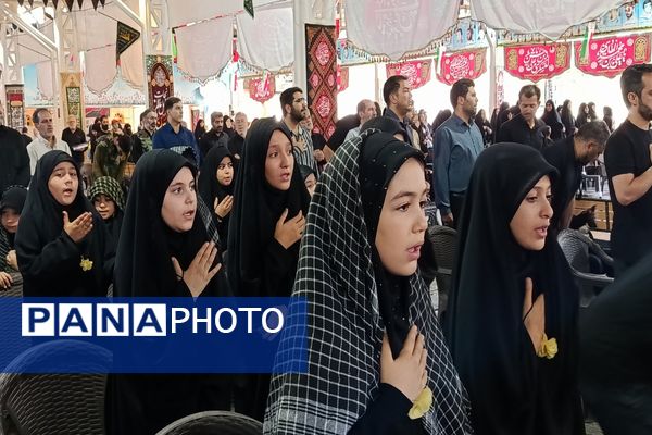 عشق و ارادت مردم شهرستان ملارد به امام رضا (ع) به روایت تصویر